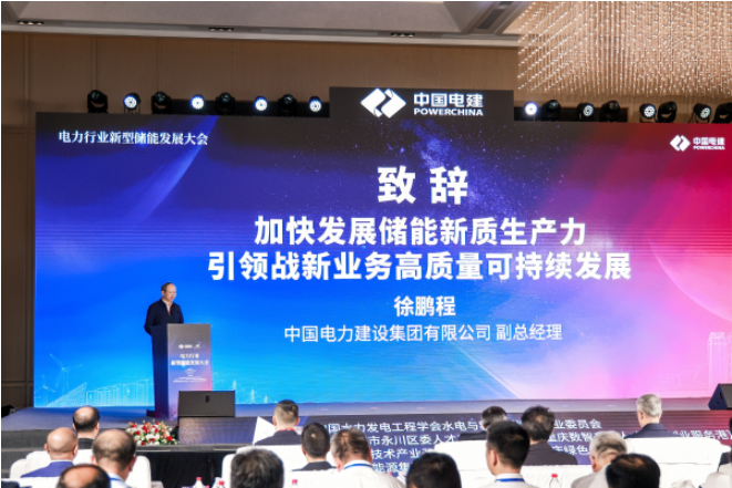公司举办电力行业新型储能发展大会