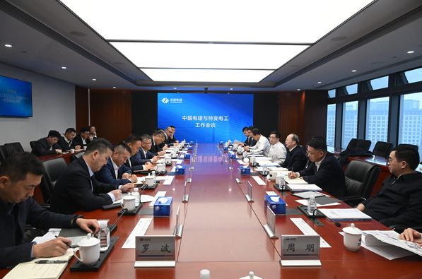 徐鹏程与特变电工总裁黄汉杰会谈