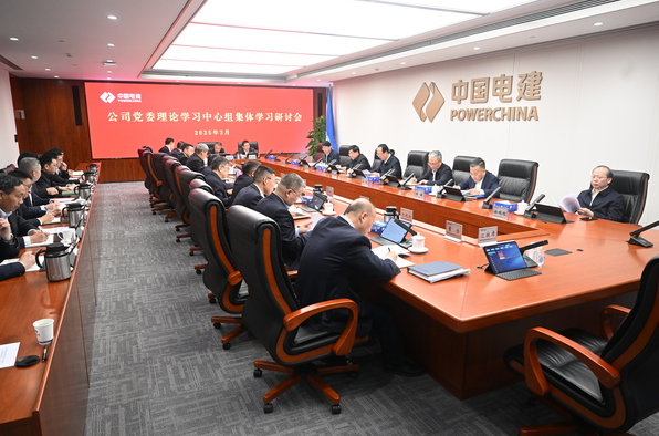公司党委中心组学习贯彻习近平总书记在全国两会期间的重要讲话和全国两会精神