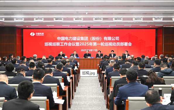 公司党委召开巡视巡察工作会议暨2025年第一轮巡视动员部署会